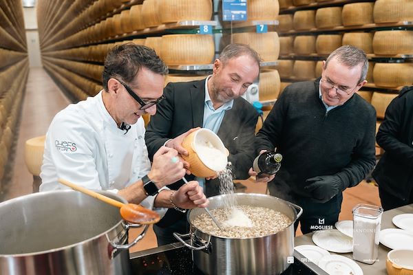 Armonia Gourmet