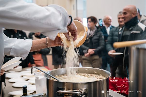 Armonia Gourmet
